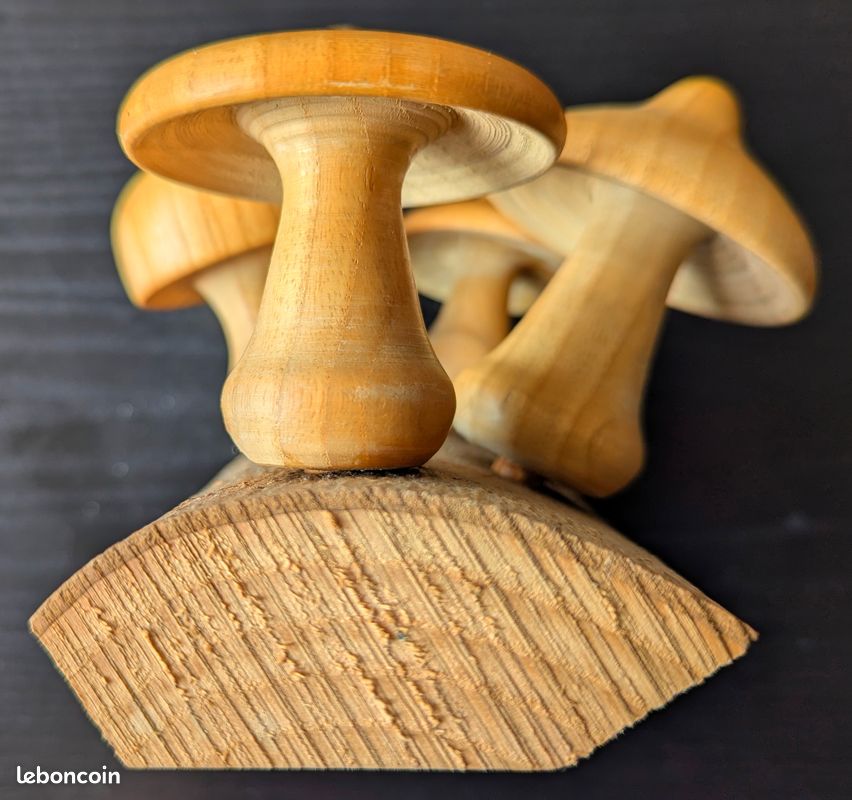 Champignons en bois tourné (image 4)