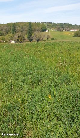 Terrain à bâtir