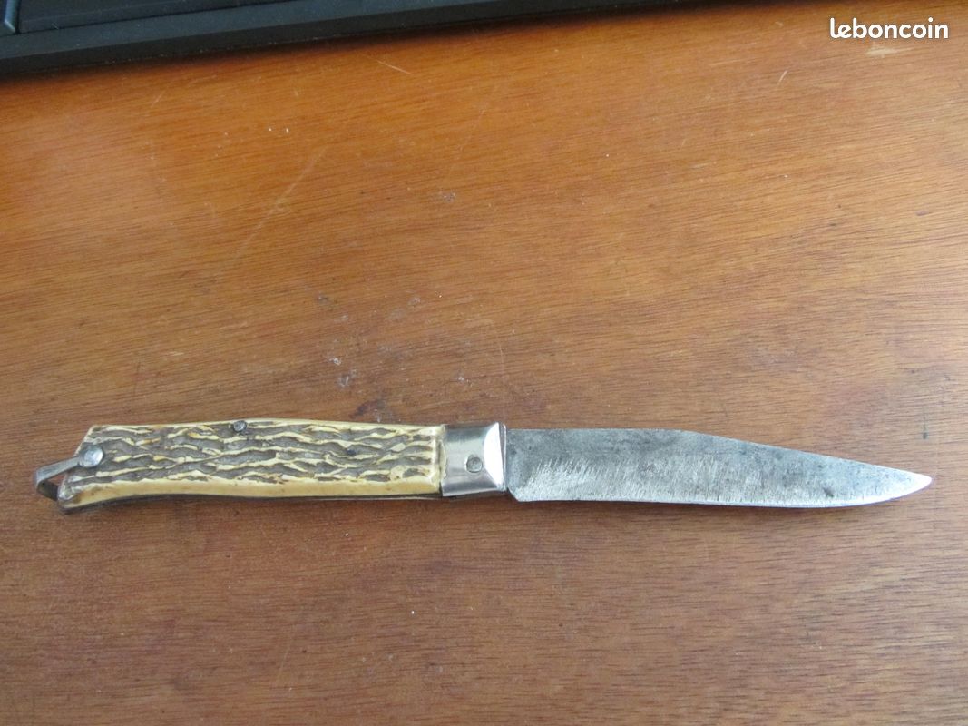 Canif Pradel manche Chamois 1950-1960 (image 3)