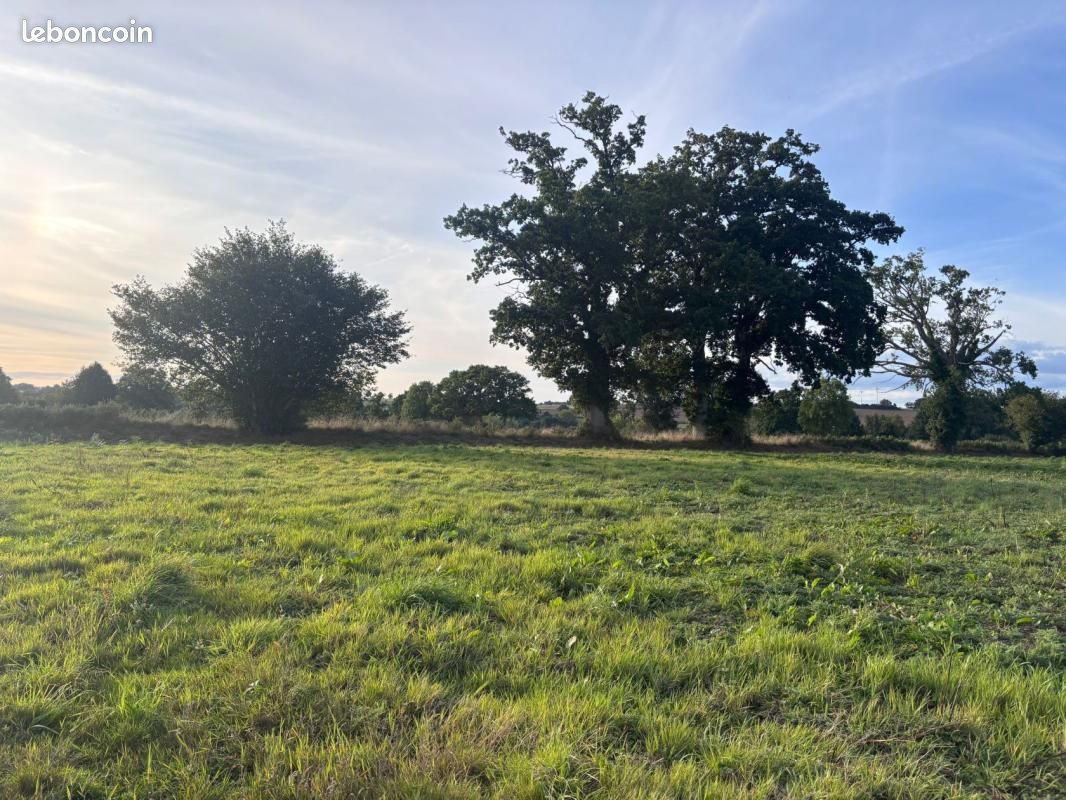 Terrain 670 m² Frenes · à Tinchebray-Bocage · 20 000 €
