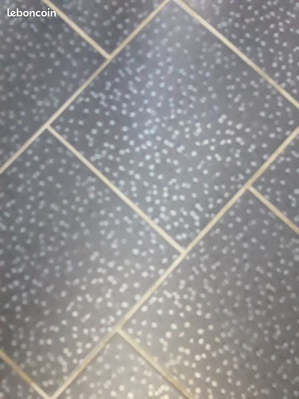 Carrelage (image 1)
