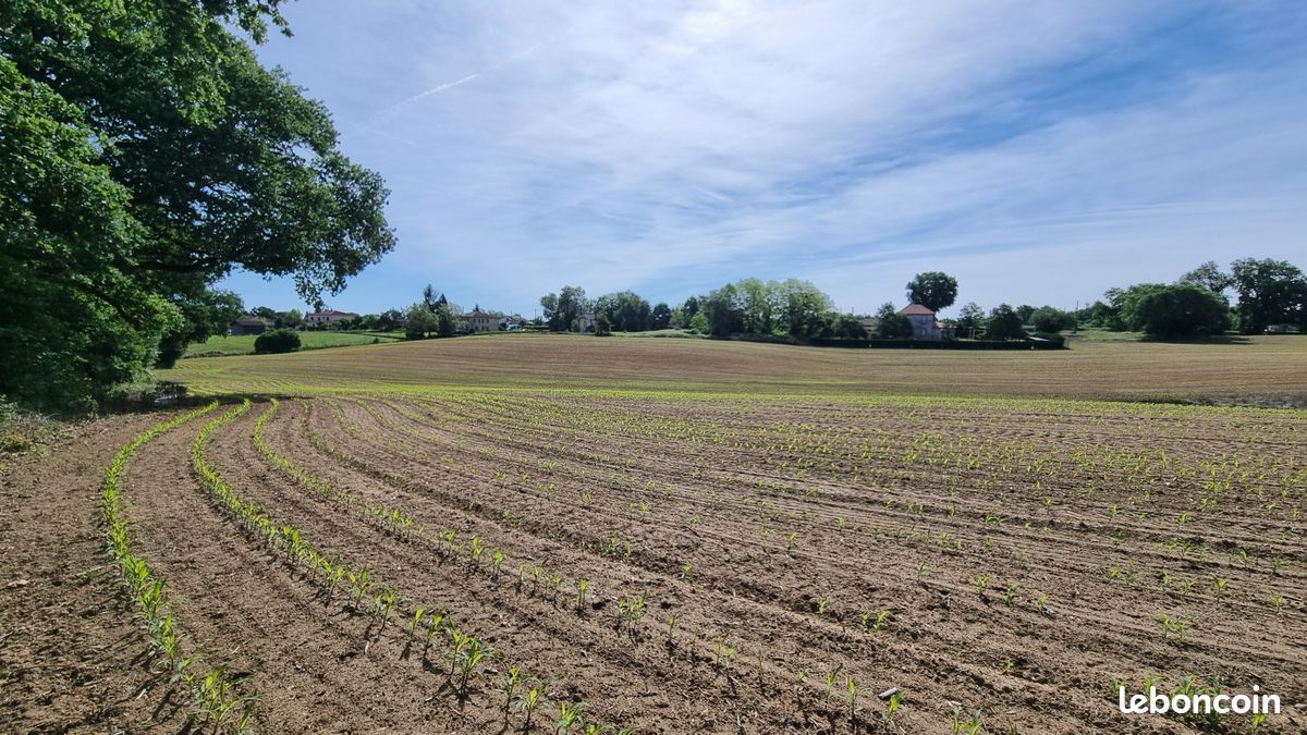 Terrain constructible 14140 m² · à Eauze · 110 000 €