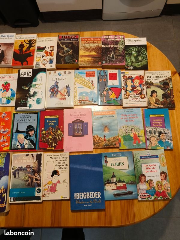 120 livres à choisir dès 5 – Kessel, Romain Gary, Agatha Christie, Fred Vargas… (image 7)