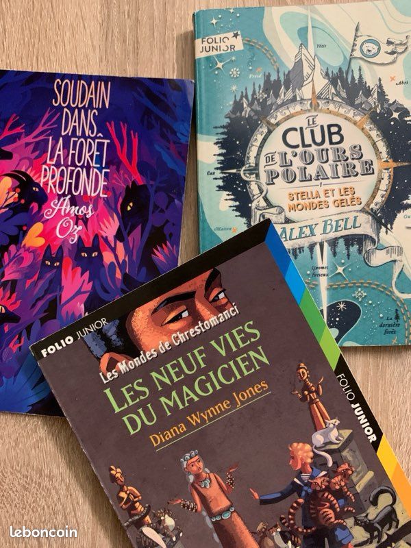 Lot indissociable 3 livres Folio Junior (image 9)