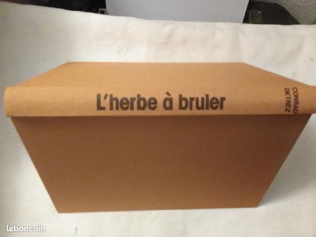 L'herbe à brûler – Conrad Detrez (image 4)