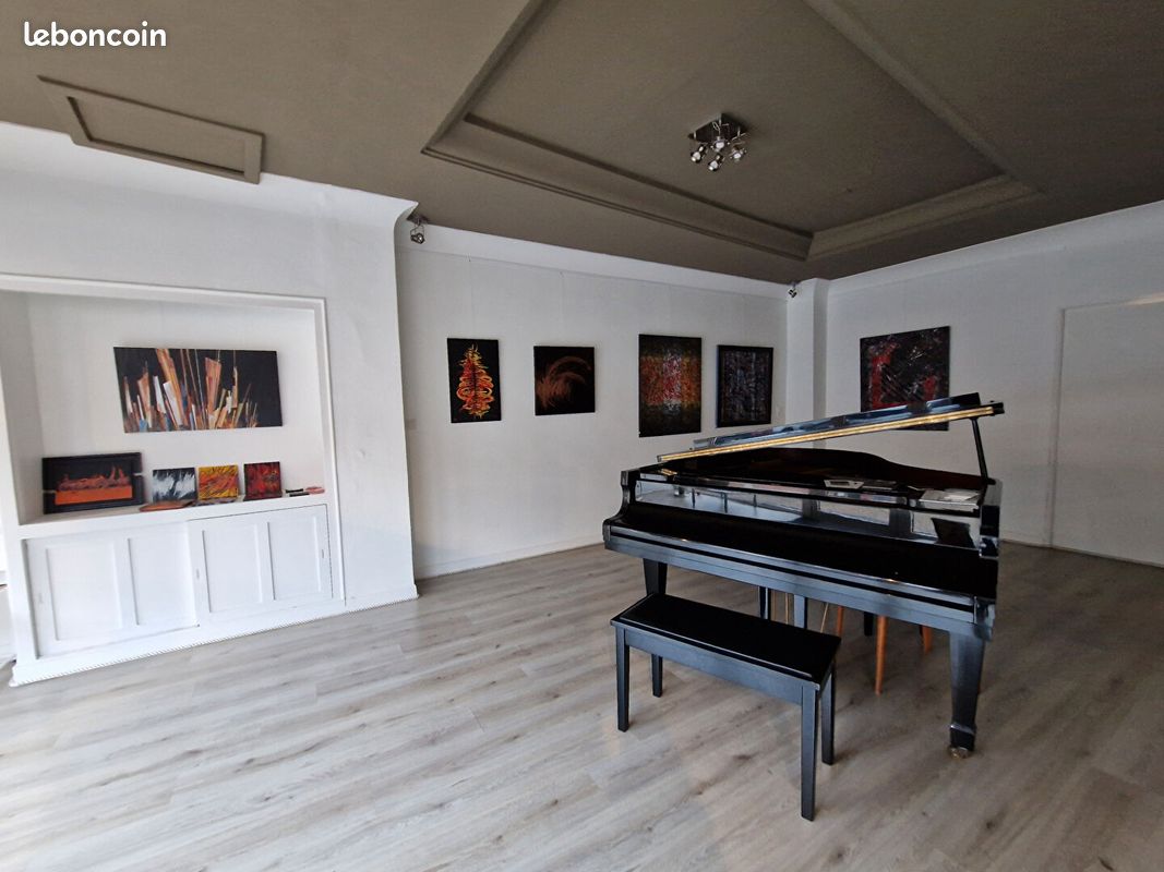 Maison 7 pièces 232 m² (image 12)