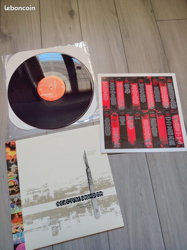 Lot de 3 vinyles du groupe Scrotum Grinder (image 4)