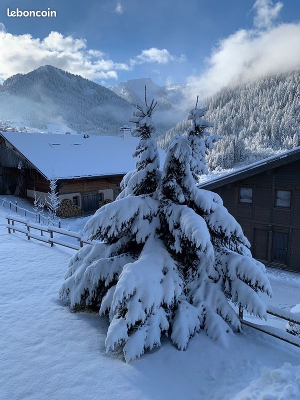 Disponible été & Hiver : Rez-de-jardin 2 pièces 1/2/3 pers à Châtel (image 19)