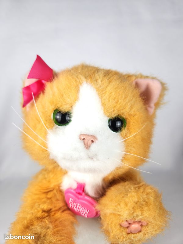 Daisy Gato Furreal Friends Hasbro Peluche Interactive Daisy