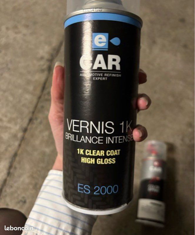 Peinture jantes tesla aéro 18p (image 2)