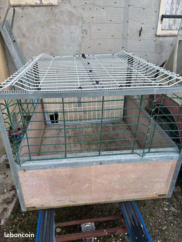 Cage de transport pour chien (image 3)