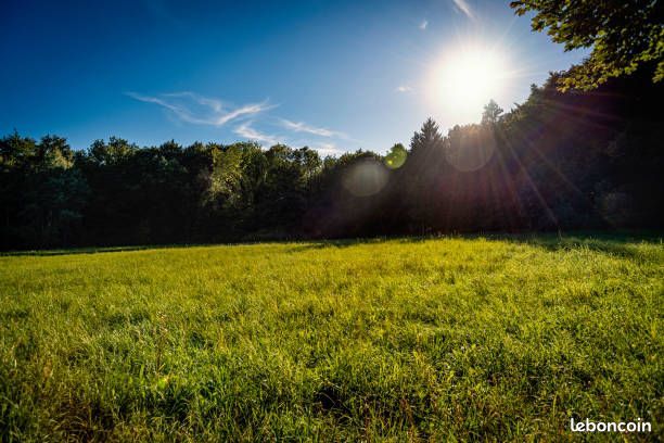 Terrain 880 m² Leforest