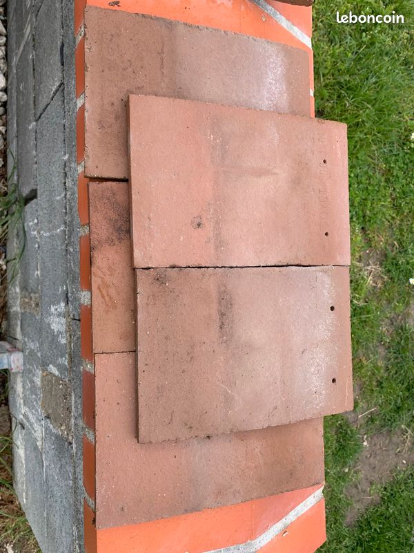 Tuiles plates (image 2)