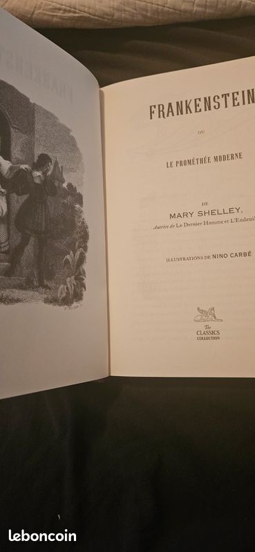Livre frankenstein (image 3)