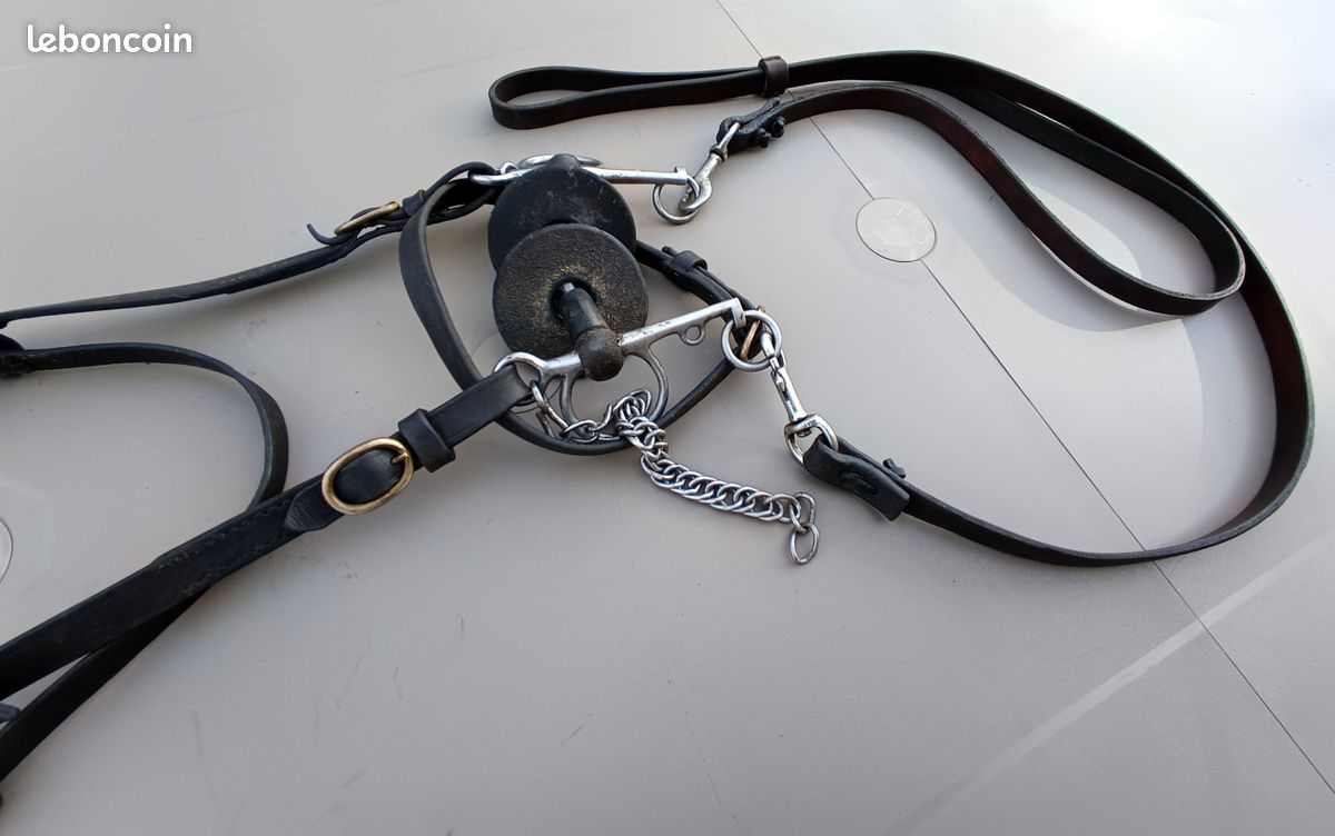 Brides, bridons, Selles, sellerie, Equitation, Sports, vacances - FR