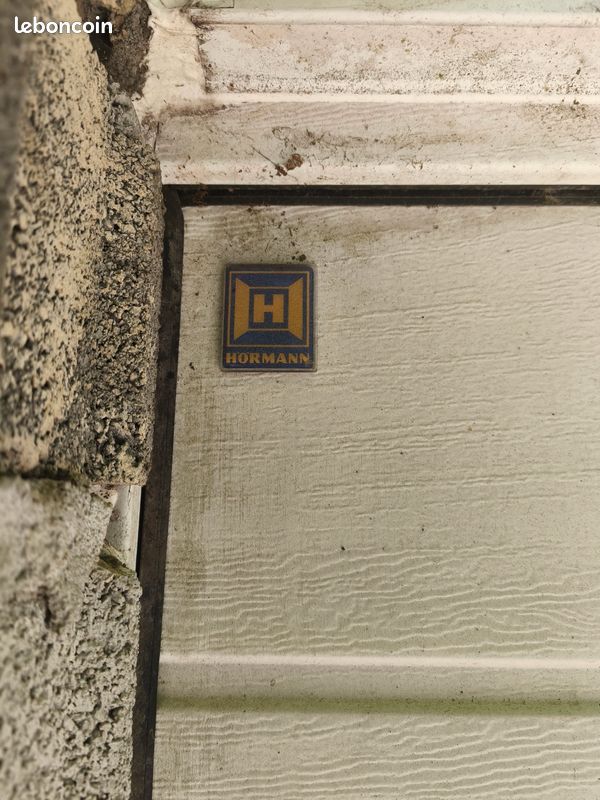 Porte de garage sectionnelle isolée motorisée FAAC 3000x2500mm (image 5)