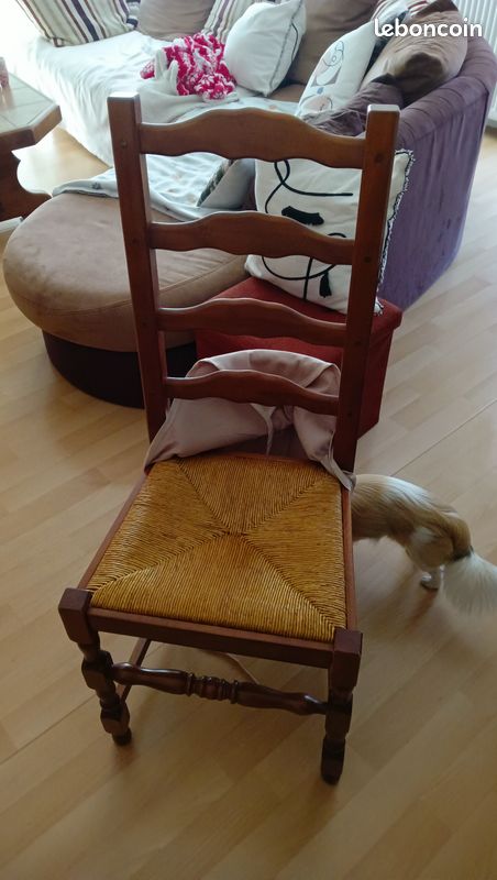 Chaises en bois plus que potables (image 2)