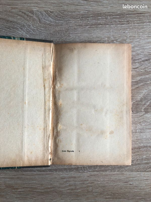 Livre Les deux nigauds de la Comtesse de Ségur BE (image 4)