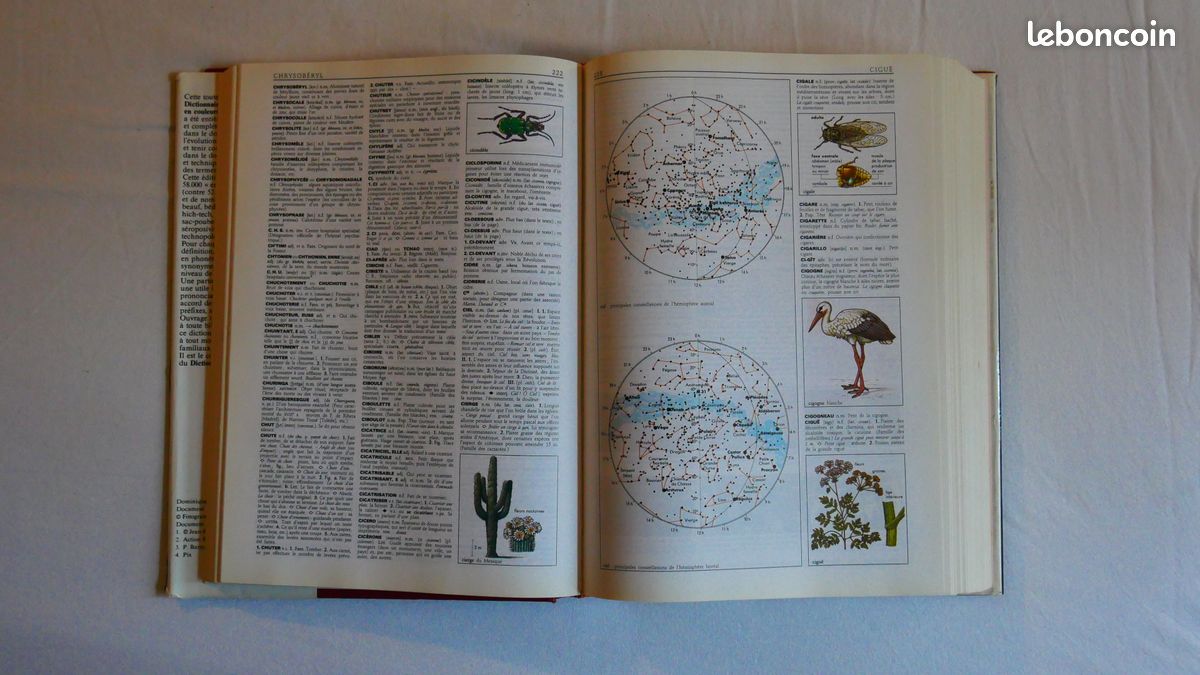 Dictionnaire des noms communs en couleurs (image 4)