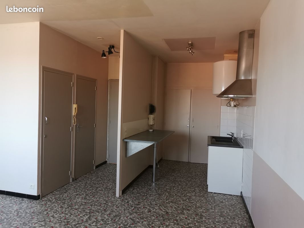 Beau t1 rénové 33m2 (image 2)