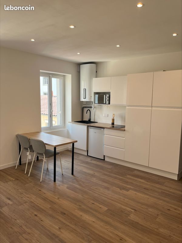 Appartement 1 pièce 24 m² · à Lyon · 23,5 m² · 725 €