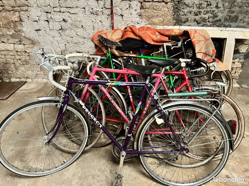 Vélo ville, homme, femme, enfants (image 2)