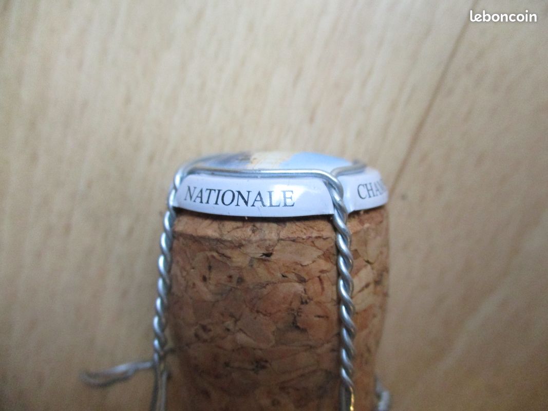 Rare muselet capsule champagne Assemblée Nationale (PAZ) (image 2)