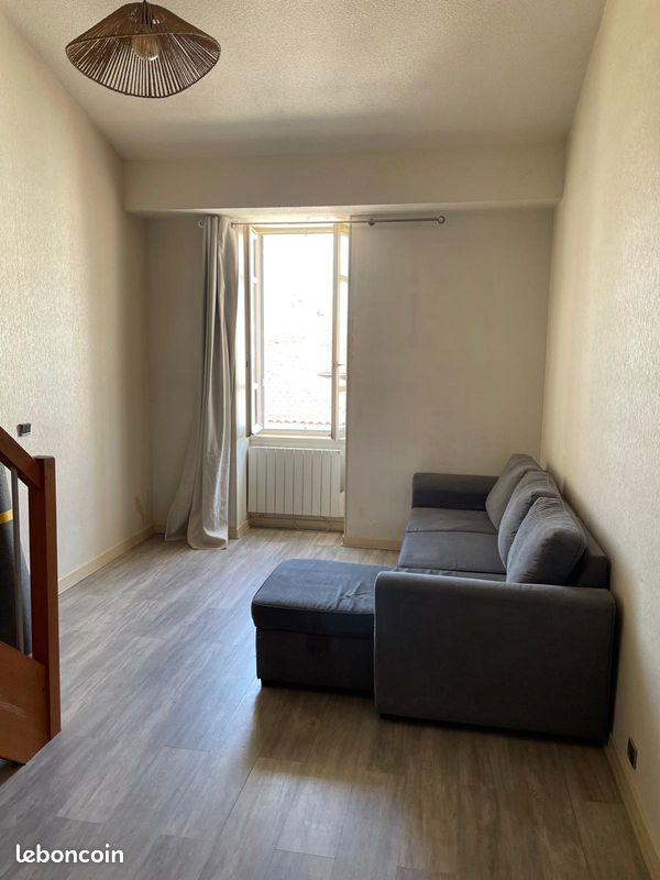 Appartement T1 bis duplex hyper centre bourg en Bresse dernier étage (image 5)
