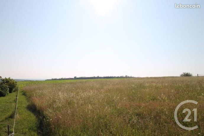 Terrain 1 546 m² Begues