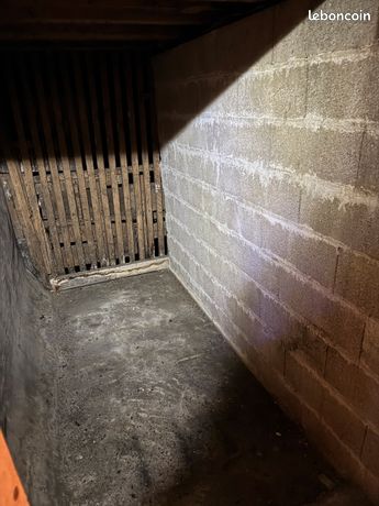 Appartement T3 rénové
