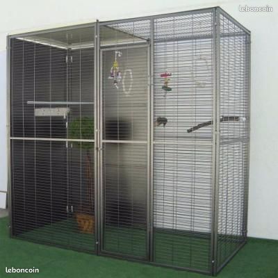 Sitemapcdatahttpapsmixel Thicoipeinfocage Oiseaux Occasion Particulier 1