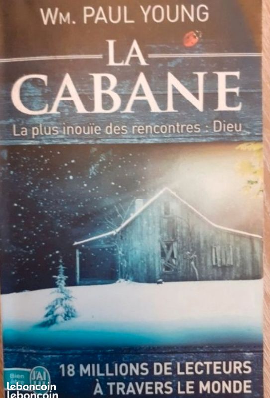Lot×2 W Paul Young La cabane + Destins croisés (image 2)