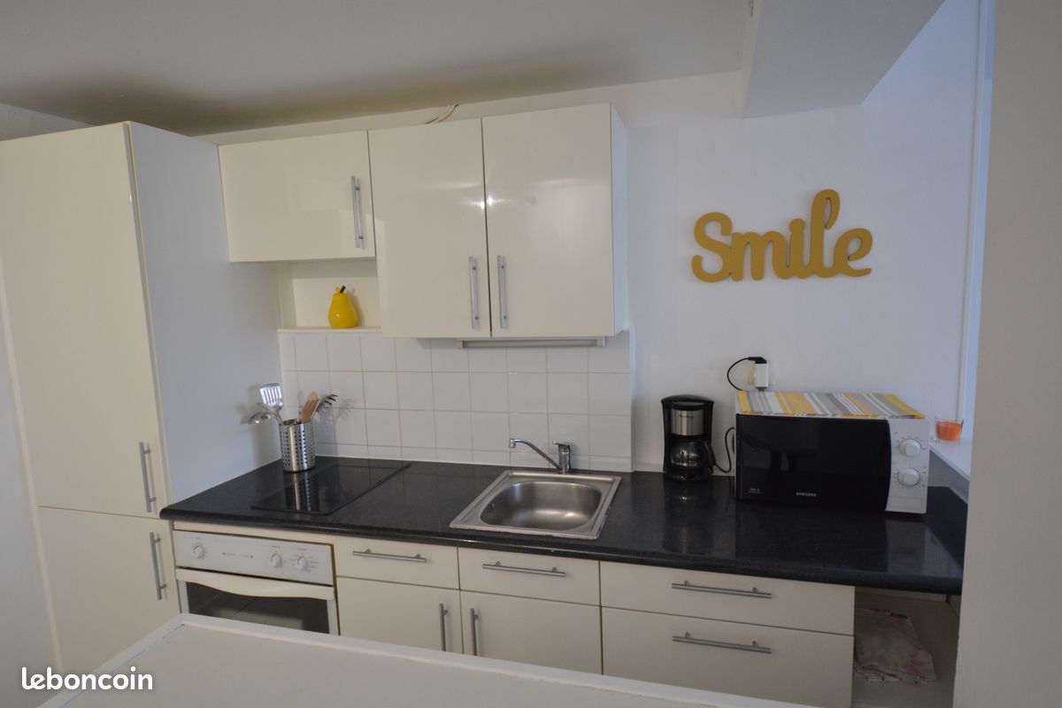 Appartement a louer oullins-pierre-benite - 1 pièce(s) - 33 m2 - Surfyn