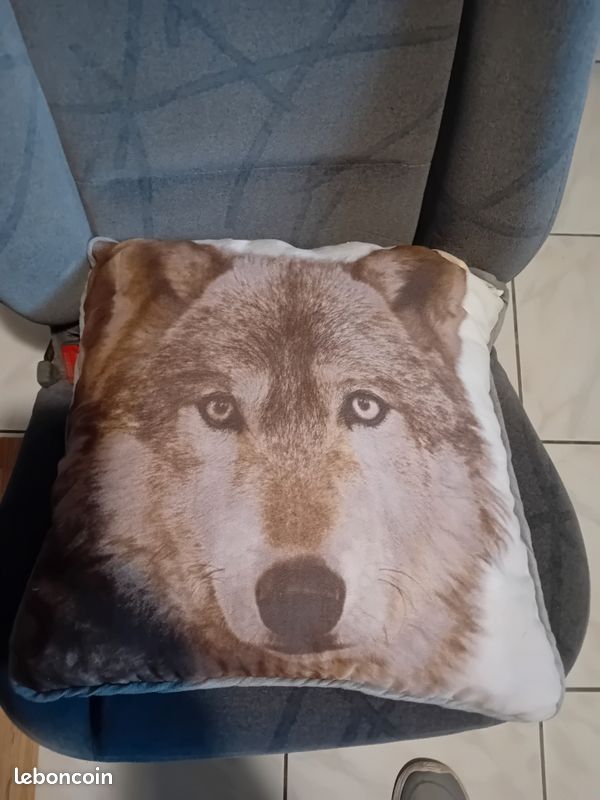 Coussin (image 1)
