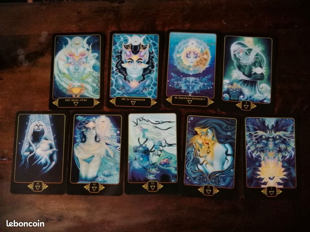 Le tarot des rêves de Gaïa (de Ravynne Phelan)- relié et illustré (image 17)