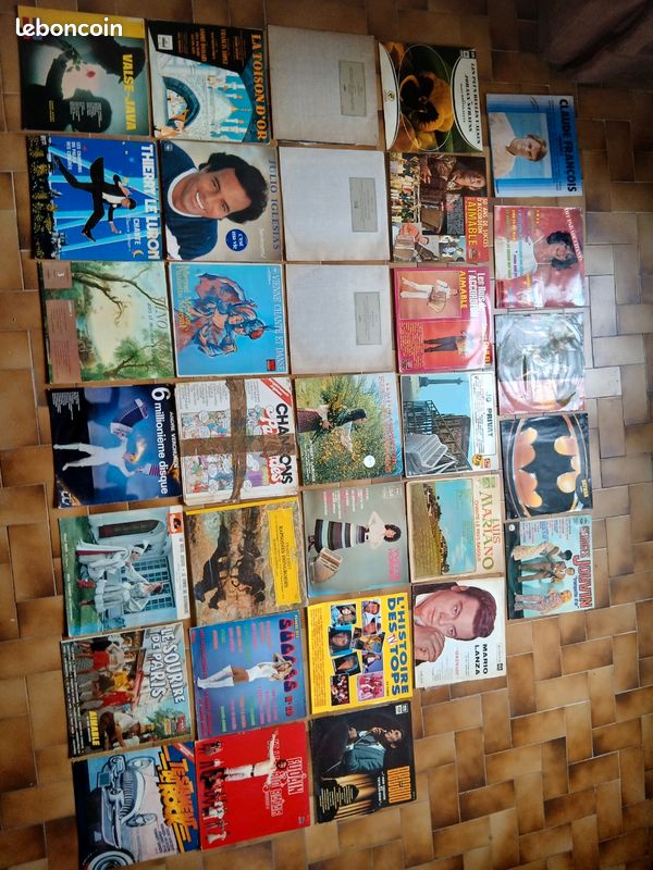 Lot de ~32 Vinyles 33 tours (Prince, Cloclo, Rock, Accordéon, Classique...) ou à l'unité (image 1)