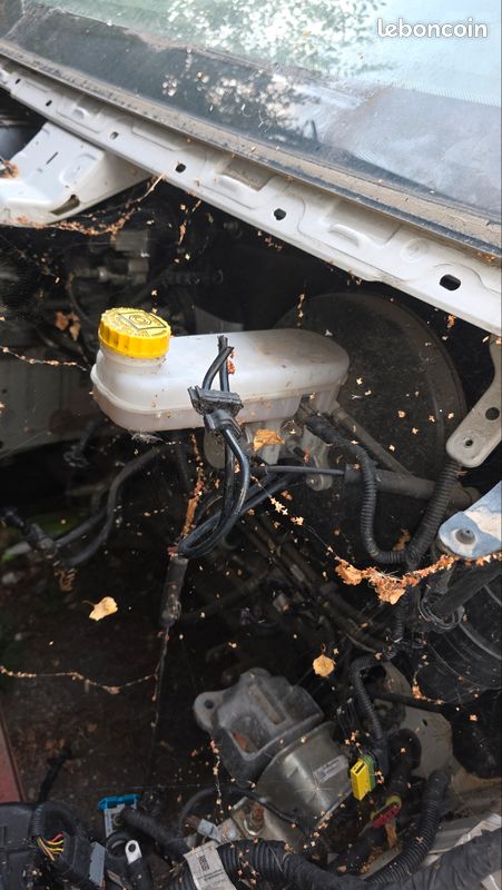 Maître cylindre de freins Citroën jumper (image 1)