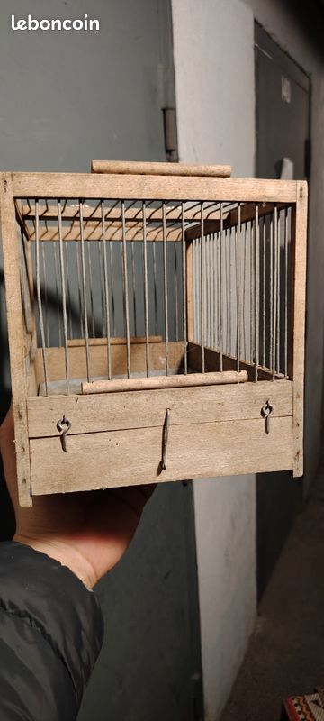 Cage oiseaux (image 2)