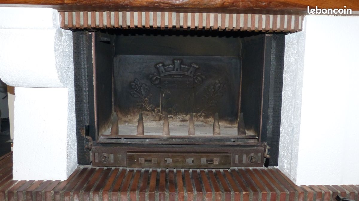 Cheminee insert (image 2)