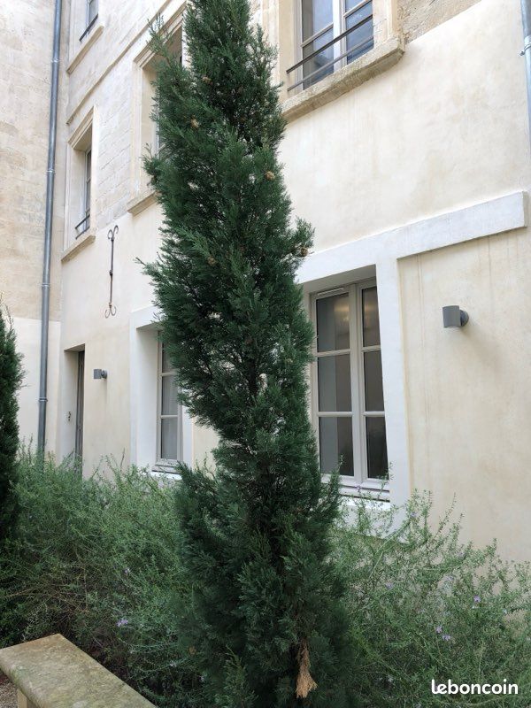 Appartement 2 pièces 46 m² · à Avignon · 46 m² · 159 000 €