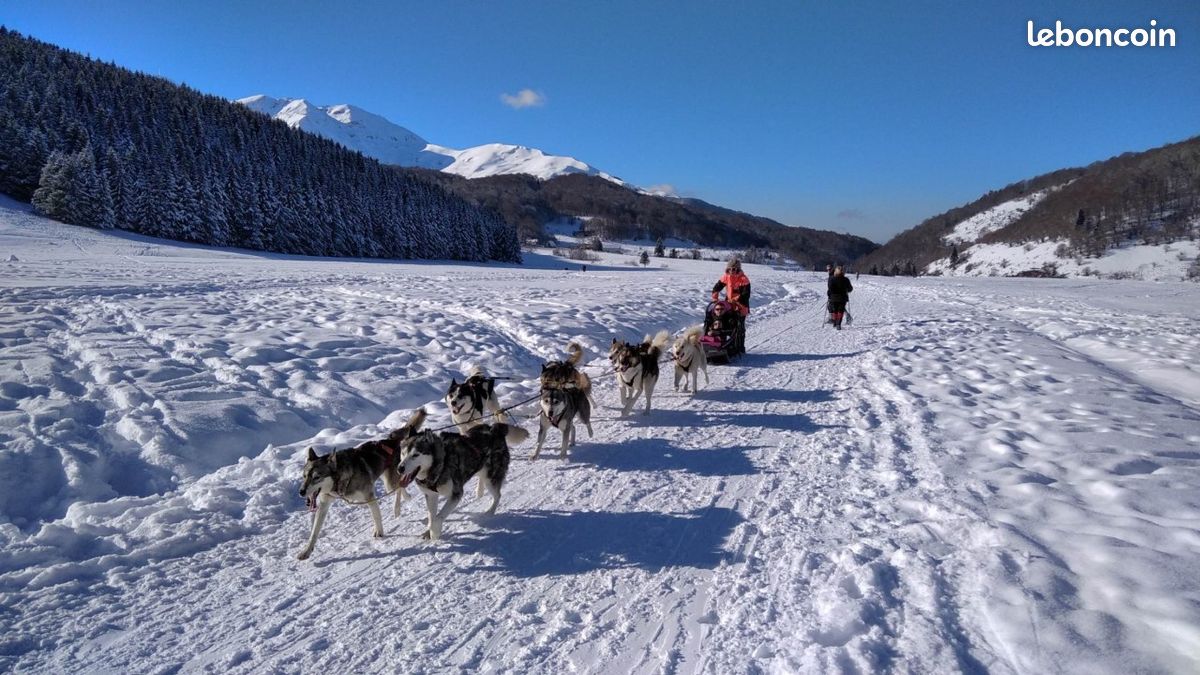 Camping pyrénéen au lac de Payolle ouvert toute l'année (image 9)