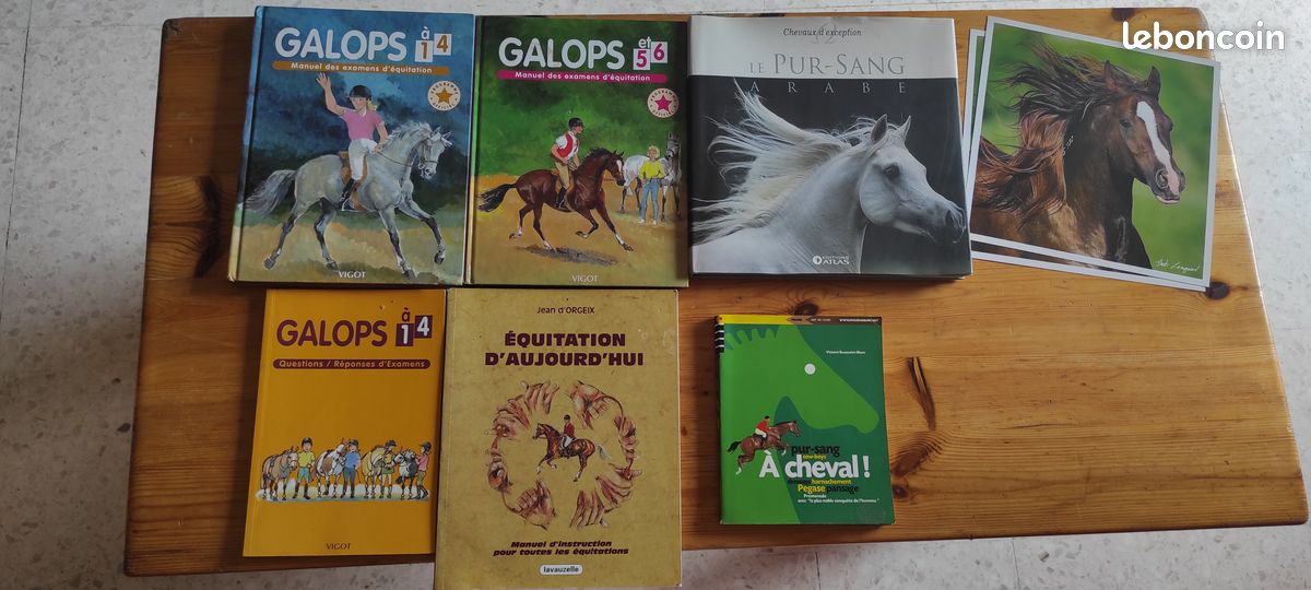 Livres relatifs aux chevaux - Apprentissage galops (image 1)