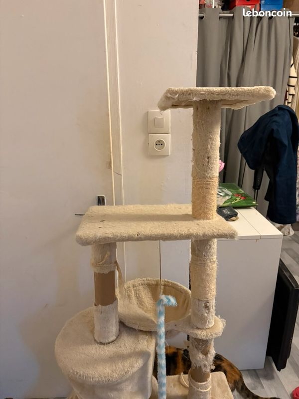 A donner arbre à chat (image 3)
