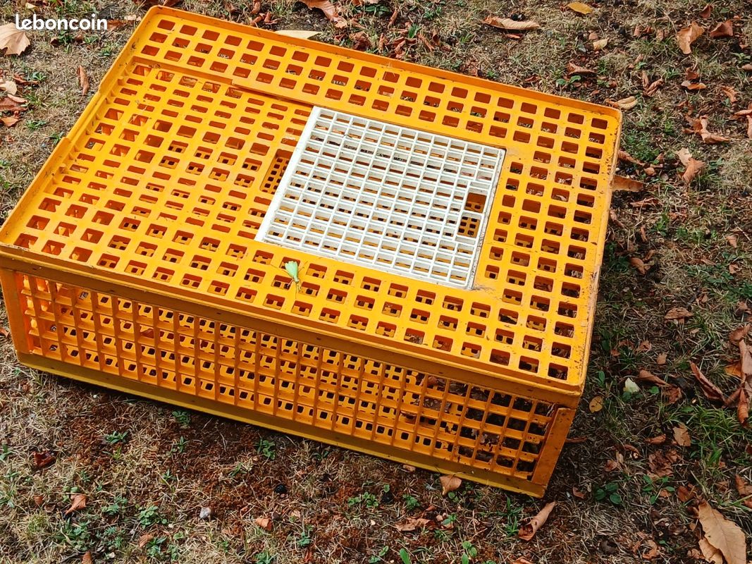 Cage pour transport volaille et autre (image 1)