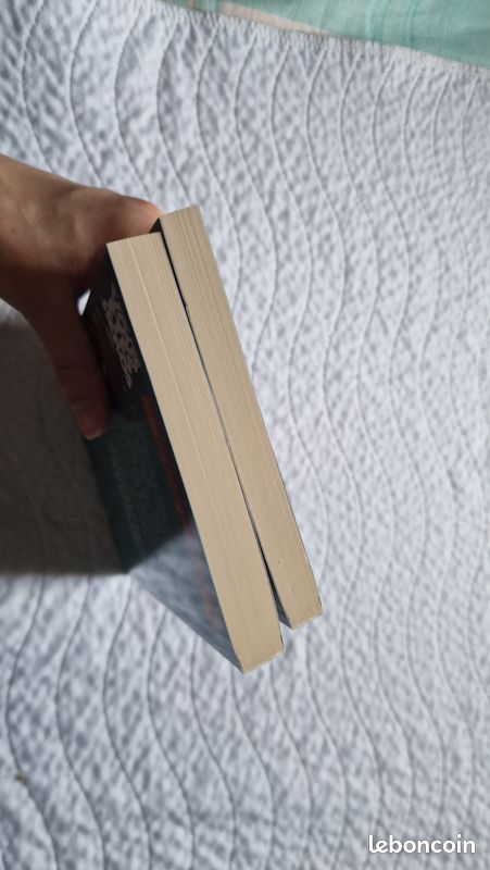 Livre dont vous êtes le héros 4 et 5 (image 3)
