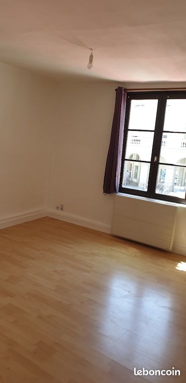 Limoges hyper centre T1 bis rénové récemment - Limoges 87000 Centre-Hôtel de Ville Emailleurs (image principale 2)