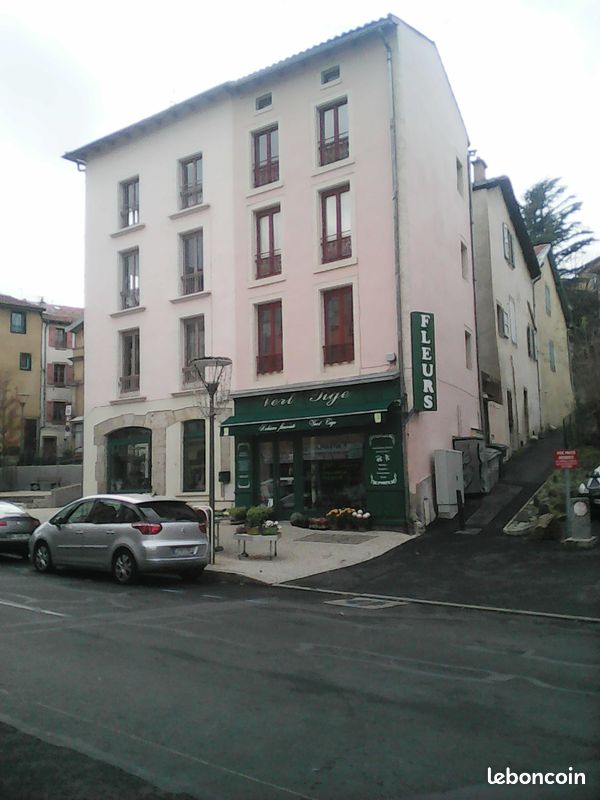 Appartement 1 pièce 30 m² · à Le Puy-en-Velay · 30 m² · 380 €/mois