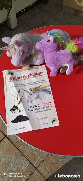 LICORNES : Collection de licornes sous toutes ses formes (image 5)