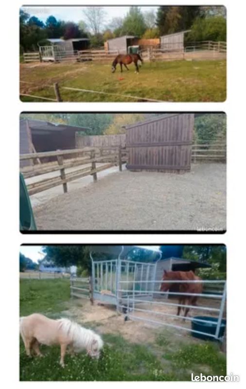 Location petite écurie · à Gommersdorf · 500 €