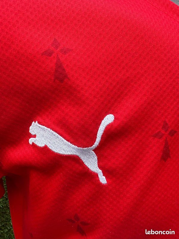 Maillot terrier Stade Rennais (image 7)